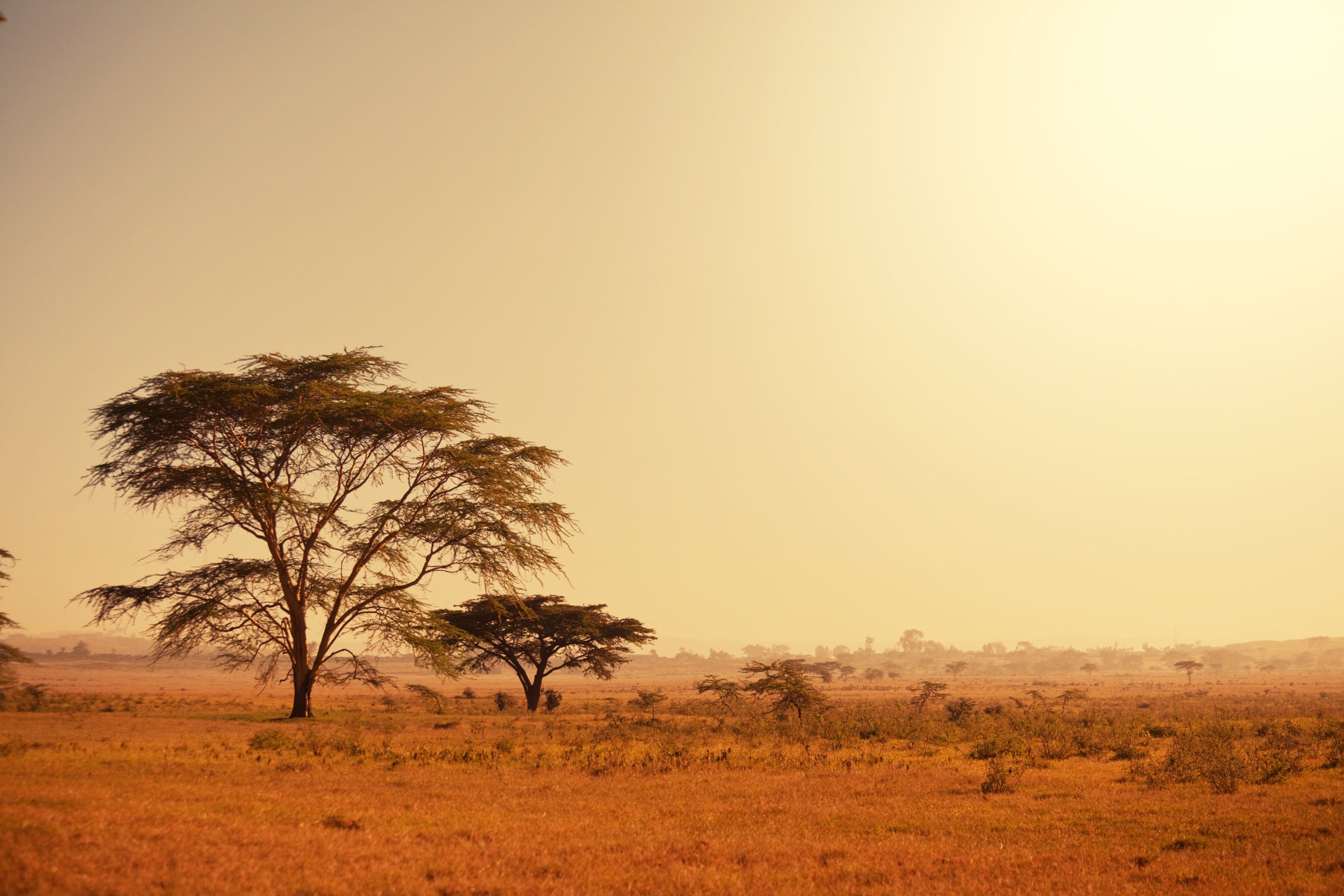 African Landscapes